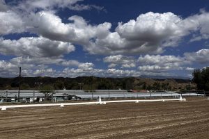 Canyon Lake Farm - Dressage Court