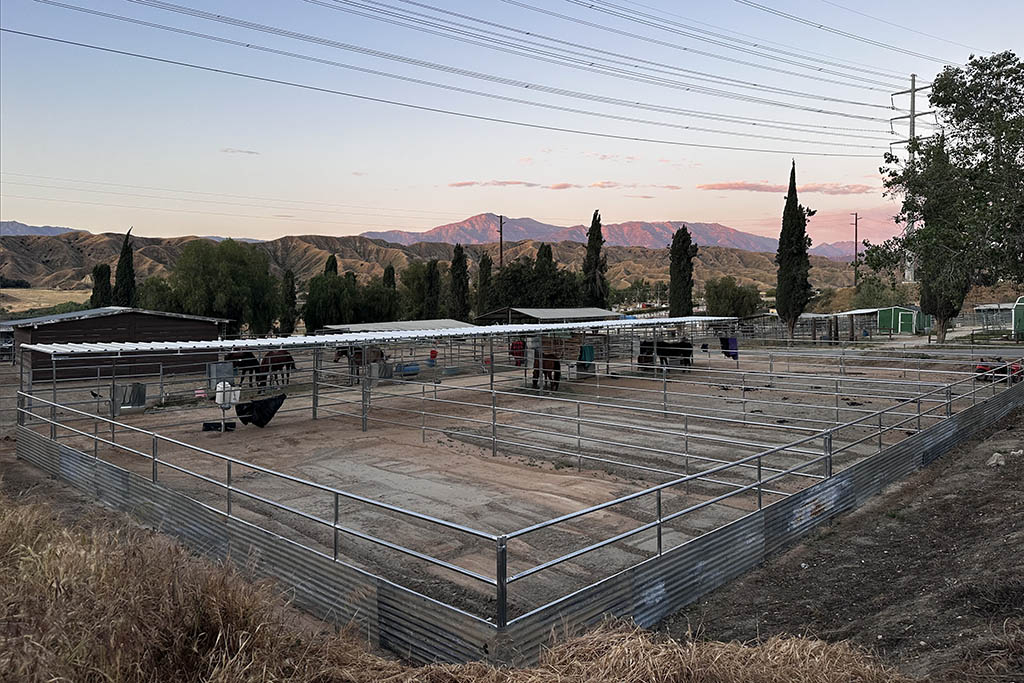 Canyon Lake Farm - Horse Boarding